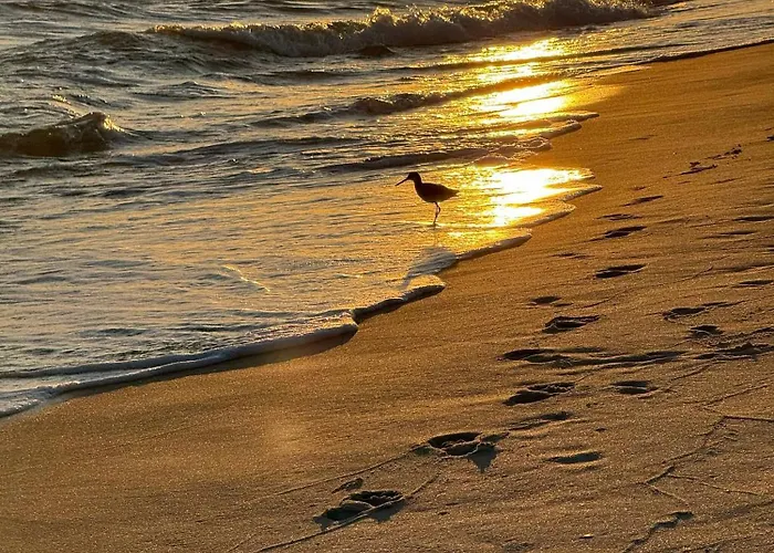 4005 Rookery 3 Sea Story With 2 Pools Access And Lots Of Amenities Apartment Gulf Shores